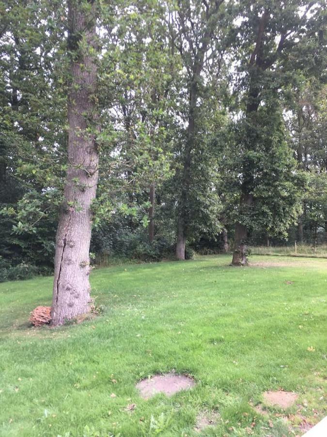 Apartamento Ro I Skoven - Men Taet Pa Byen Varde Exterior foto